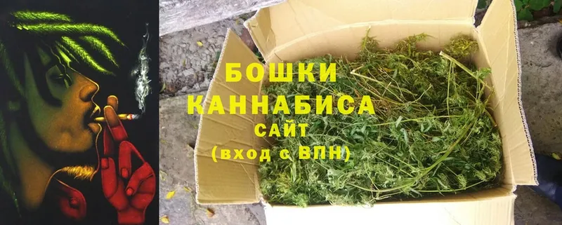 MEGA ССЫЛКА  Краснознаменск  Бошки марихуана конопля 